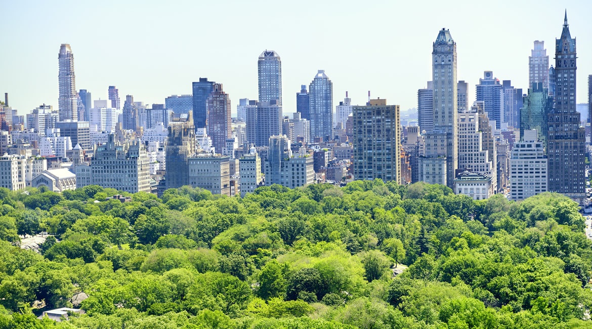 our properties lauren berger